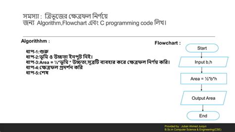 C Programming Bangla Tutorial Beginners 的图像结果