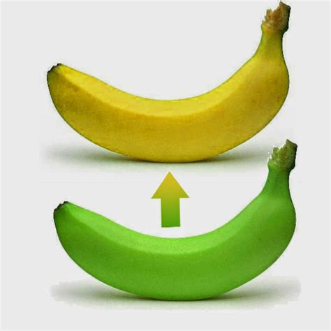 Image result for Excel Button Hover Color Change