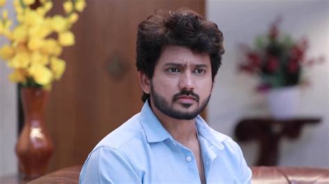 Varisu TV Serial Online - Watch Latest Show Episodes on ZEE5