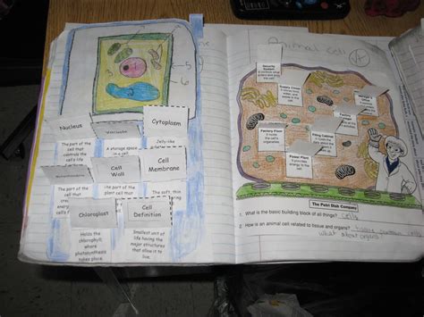 Image result for Object Lessons Using a Cell Phone