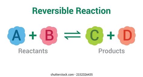 Image result for Graphical Representation of Dynamic Equilibrium
