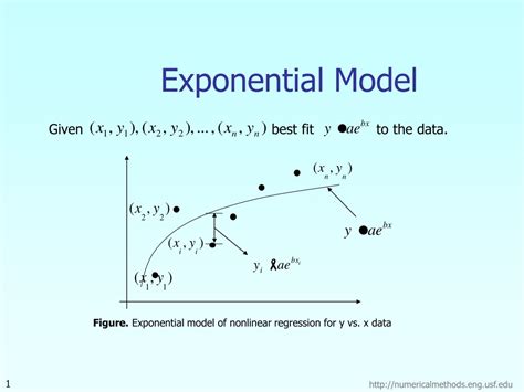 Exponential Model Calculator 的图像结果