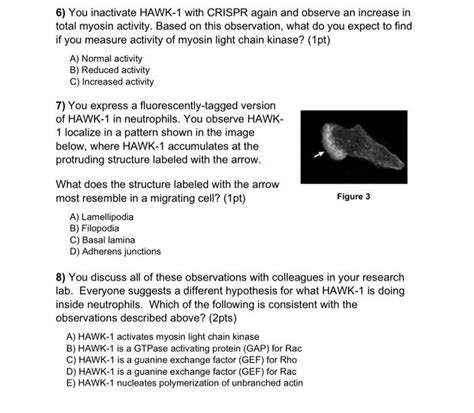 Image result for Forward Genetic Screen