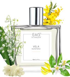 Buy Em5 Vela| Floral Woody Sweet | Strong and Long Lasting Fragrance ...