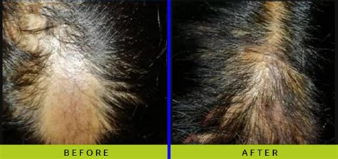 fluencepharma.in | Gallery