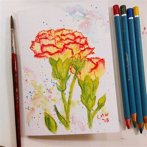 Easy Watercolor Pencil Project for Beginners