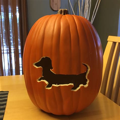 Dog Pumpkin Pattern