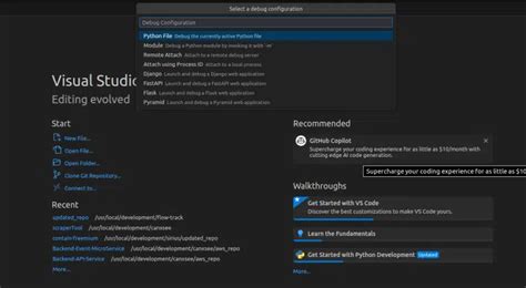 VS Code Debugger Tutorial 的图像结果