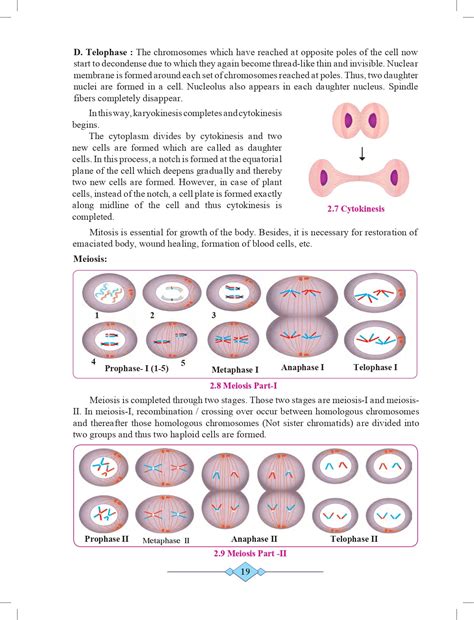 10th Science Maharashtra Board 的图像结果