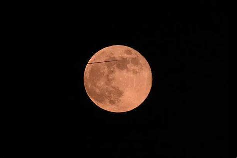 Pink moon horoscope 2026: What the Libra full moon means for all 12 ...