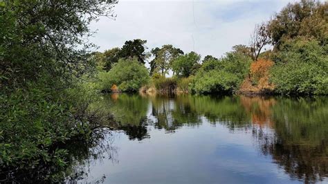 Oceano Campground at Pismo State Beach in Oceano California CA