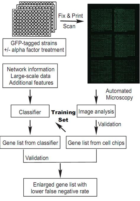 Image result for How to Program Cell Chip