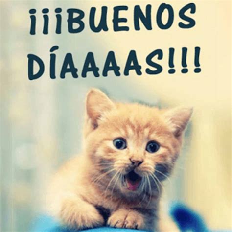 20 Memes de Buenos Días » Para Compartir y Descargar » Imágenes Buenos Días