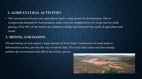 Causes and effects of deforestation and solutions of deforestation | PPT