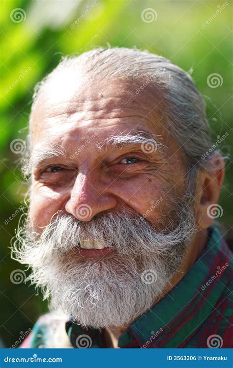 Old man with a Beard stock photo. Image of fellow, folks - 3563306