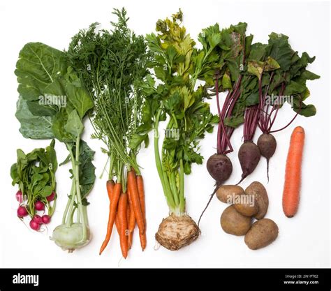 Different types of root vegetables Stock Photo - Alamy