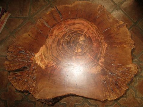 Mesa de tronco natural – EncaLaConchi
