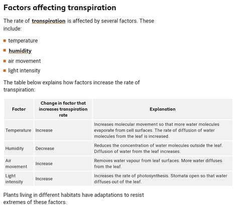 what are the factors affecting transportation in plant ? describe ...