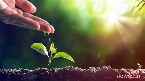 World Environment Day 2019: Wishes, SMS, images, wallpapers to mark the ...