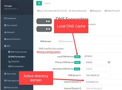 Image result for Active Directory DNS Tutorial