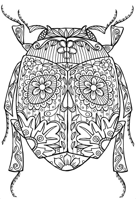 Insect Coloring Pages - ColoringBay