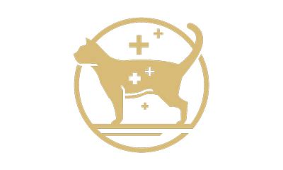 Pro Plan Kitten Wet & Dry Food | Purina US