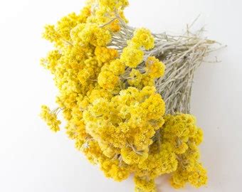 Floral Arranging - Etsy India