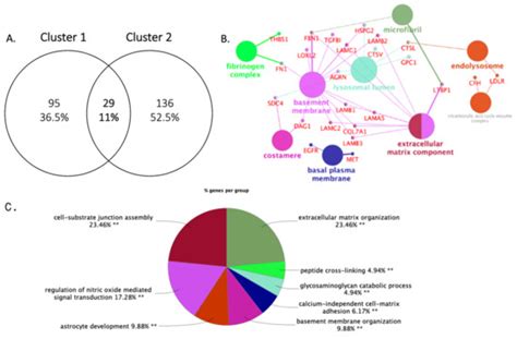 Integrative, In Silico and Comparative Analysis of Breast Cancer ...