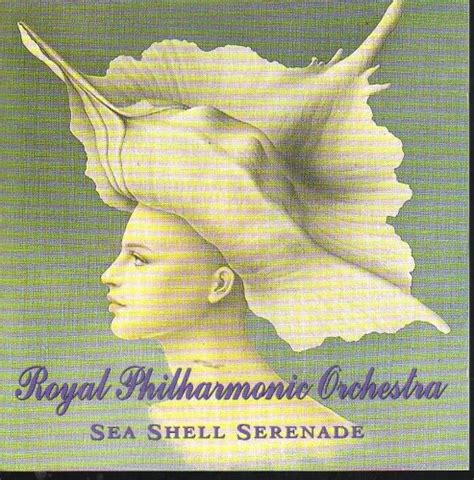 Buy Sea Shell Online at Low Prices in India | Amazon Music Store ...