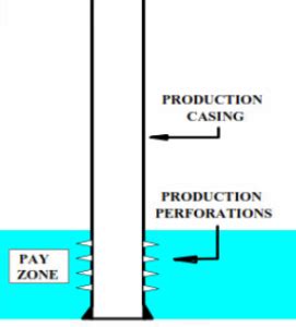 Image result for Parallel Completion Oil Well
