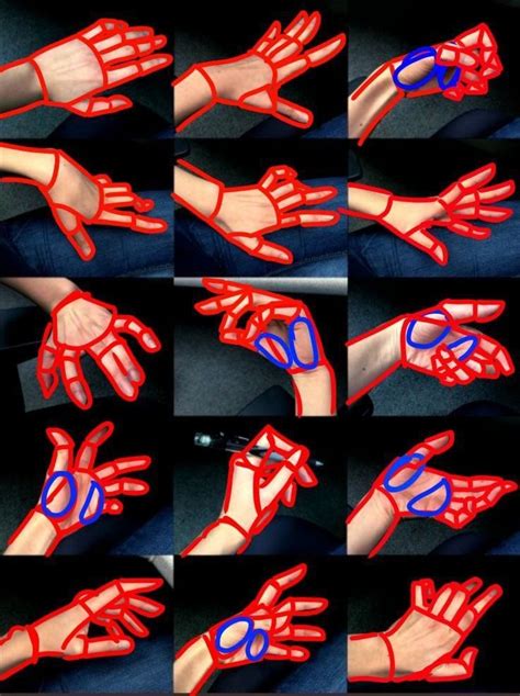 How to Draw a Front View of Hand 的图像结果