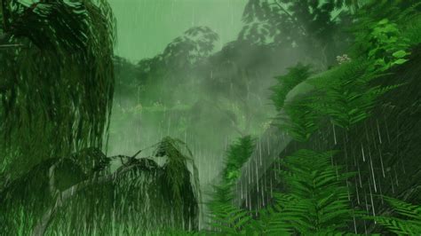 Rainforest Environment 的图像结果