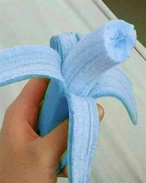 Image result for Blue Java Banana Recipes