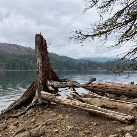 Lake Merwin Camper's Hideaway | The Dyrt