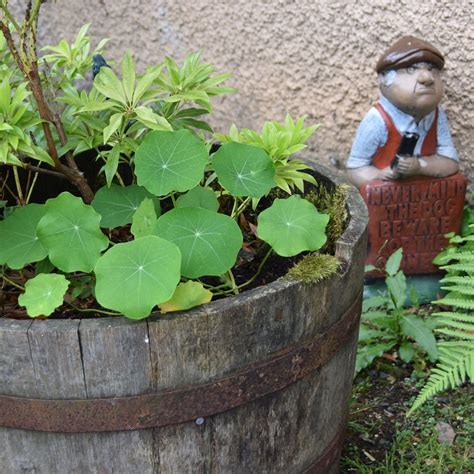 POWIS HOUSE ESTATE (Stirling, Scotland) - Guesthouse Reviews & Photos ...