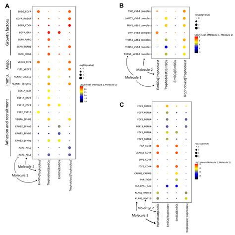 Activation of Blood Vessel Development in Endometrial Stromal Cells In ...