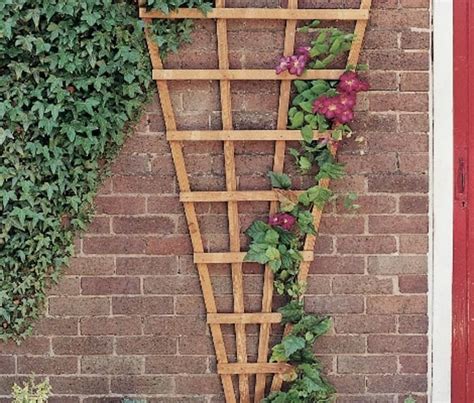 Trellis - Woodstoc - Outside Made Better