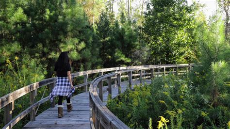 Lakeview Methodist Conference Center | Retreats, Meetings, and Camps in ...