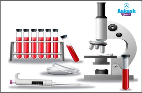 Myocardial Infarction: Symptoms, Causes, Underlying Physiology, People ...