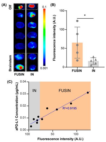Focused Ultrasound-Enhanced Delivery of Intranasally Administered Anti ...