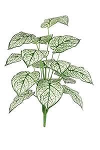 Buy PolliNation White Caladium Artificial Plant Without Pot for Home ...