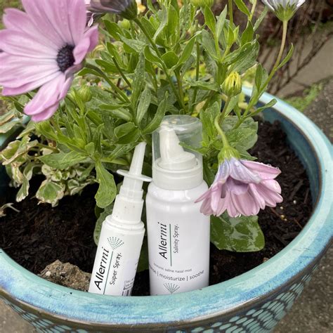 Allermi vs. Zyrtec vs. Flonase: The Allergy Medication That’s Letting Me Live My Life | My ...