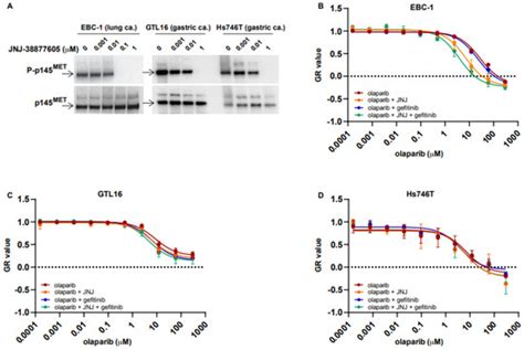 Cancer Cells Haploinsufficient for ATM Are Sensitized to PARP ...