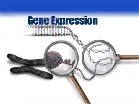 Image result for Genome Expression