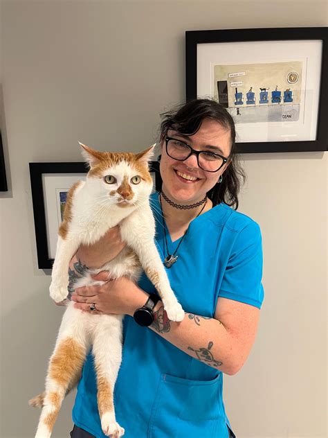 Animal Hospital | Snellville, GA | Brookwood Animal Hospital