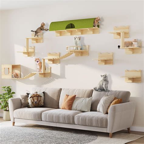 Amazon.com: DWVO Cat Wall Shelves and Perches for Wall, Pine Wooden ...