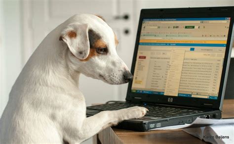 How to Learn Computer Start 的图像结果