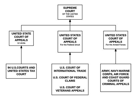 Federal Court System Structure Chart 的图像结果