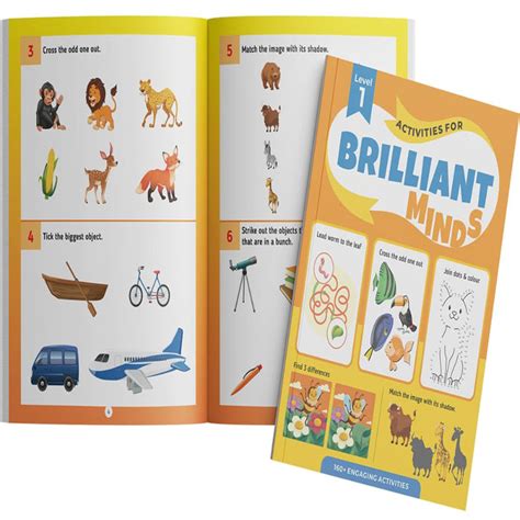 Activities For Brilliant Minds — Toycra