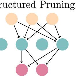 Image result for Structured Pruning